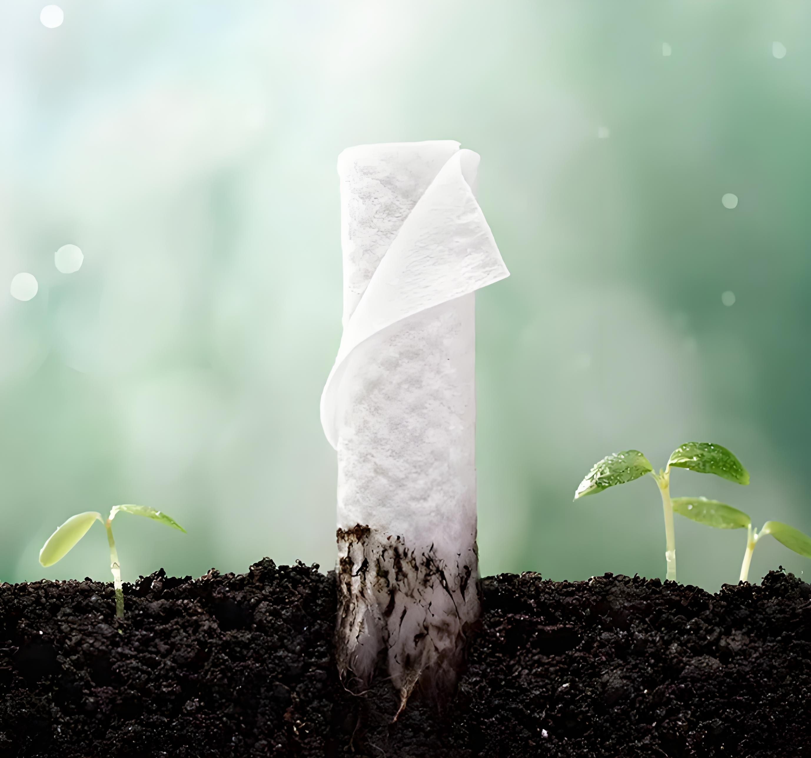 Sustainability